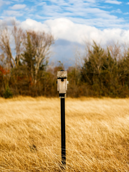 Untitled design - 2025-08-21T123731.526